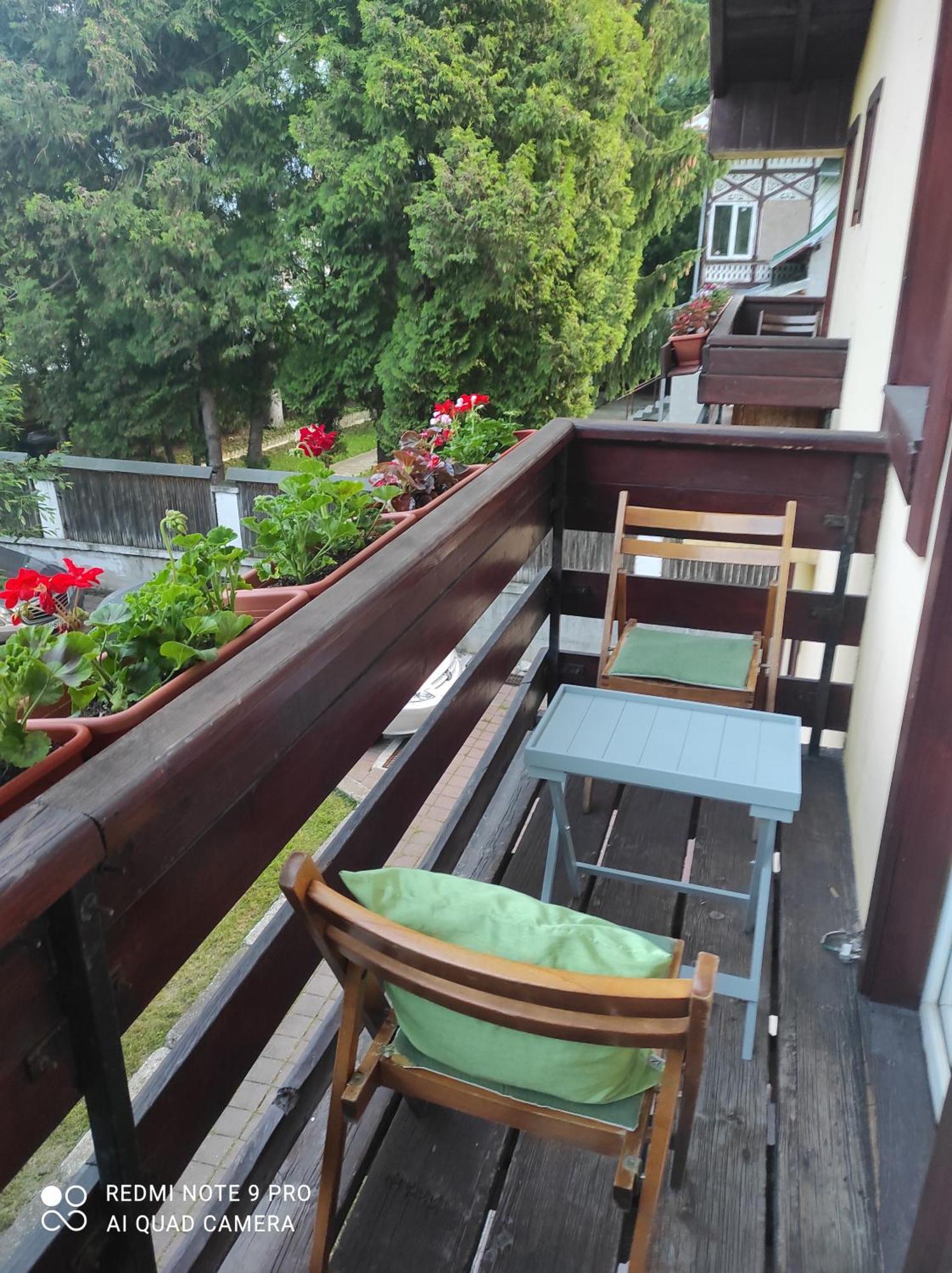 Villa Foisor Buşteni Exterior foto